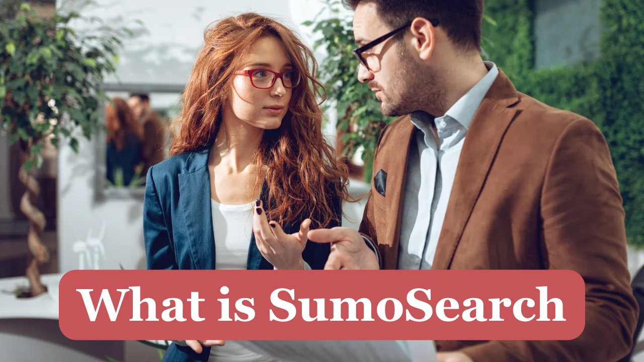 What is SumoSearch